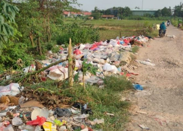 Warga Desak Pemerintah Tertibkan TPS Ilegal di Jayasampurna
