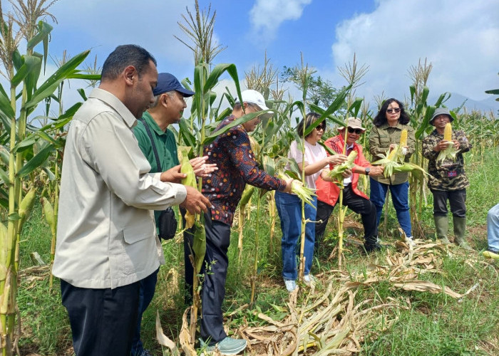 Reforma Agraria Cianjur: 980 Hektare Lahan Sengketa Mulai Jadi Sumber Ekonomi Warga