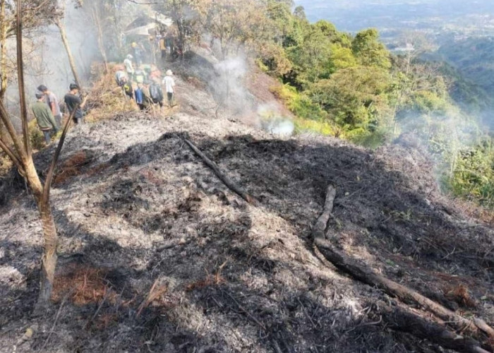 Kebakaran Kawasan Hutan Taman Nasional Gunung Salak Berhasil Dipadamkan