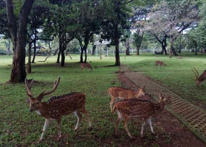 Dinas Cipta Karya Mulai Revitalisasi Ruang Terbuka Publik di Tambun