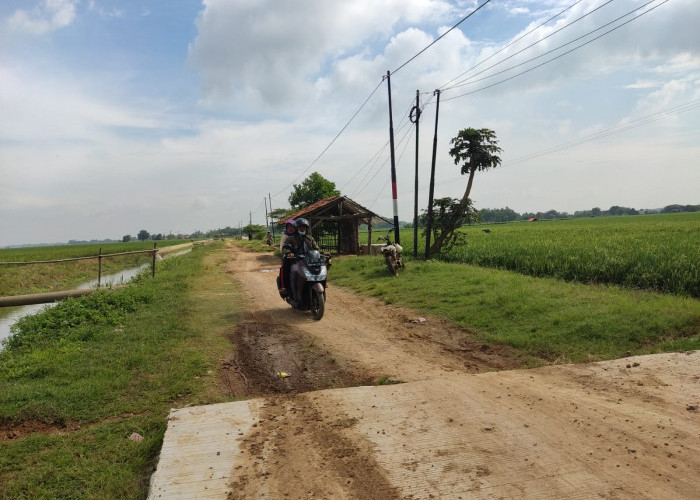 Memprihatinkan, Warga Berharap Pembangunan Jalan Penghubung Antar Desa di Kota Baru Karawang