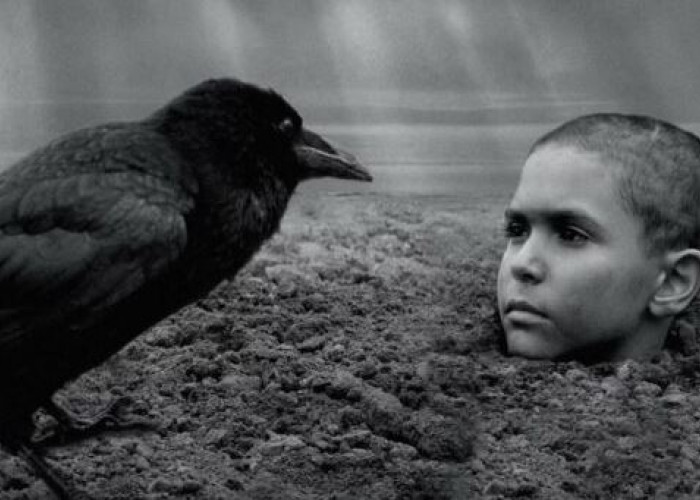 Sinopsis dan Link Nonton The Painted Bird, Salah Satu Film yang Bisa Membuat Para Penonton Kabur?