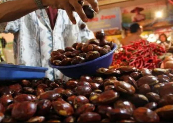 Harga Jengkol di Bekasi Tembus Rp100 Ribu per Kilogram, Warga Mengeluh