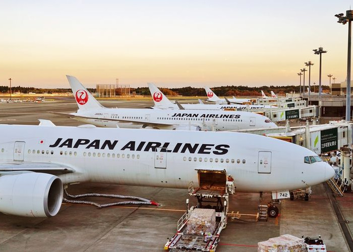 Benarkah Japan Airlines Tawarkan Tiket Gratis Keliling Jepang? Ketahui 5 Tips Ini agar Tidak Termakan Hoax