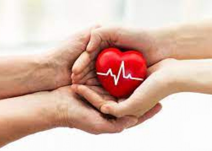 10 Cara Menjaga Kesehatan Jantung, Langkah Menuju Hidup Sehat