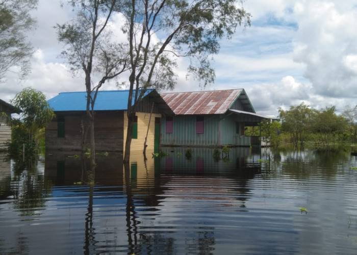 637 Warga Distrik Obaa Mappi Kebanjiran, BNPB : Hindari Air Banjir Karena Terkotaminasi Zat Berbahaya