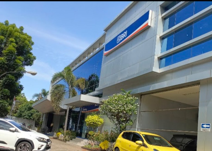 Butuh Modal Usaha? KUR BRI Bisa Jadi Pilihan Terbaik, Segini Simulasi Cicilan Pinjaman Rp20 hingga Rp100 Juta