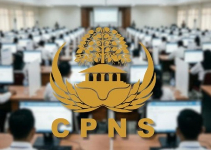 Kapan Pendaftaran CPNS 2026 Dibuka? Ini Informasi Terbaru dari BKN
