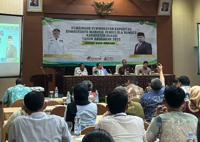 DPMD Komit Tingkatkan Kapasitas SDM BUMDes 