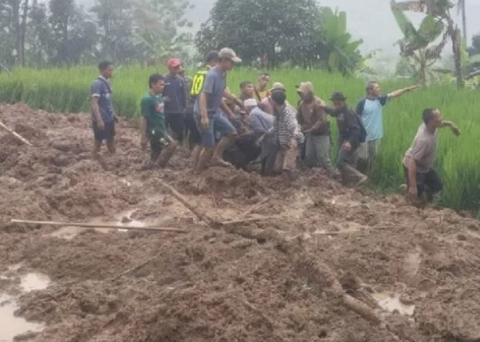 Petani di Pondoksalam Purwakarta Tewas Tertimbun Longsor saat Bekerja, Terbawa Hingga 10 Meter