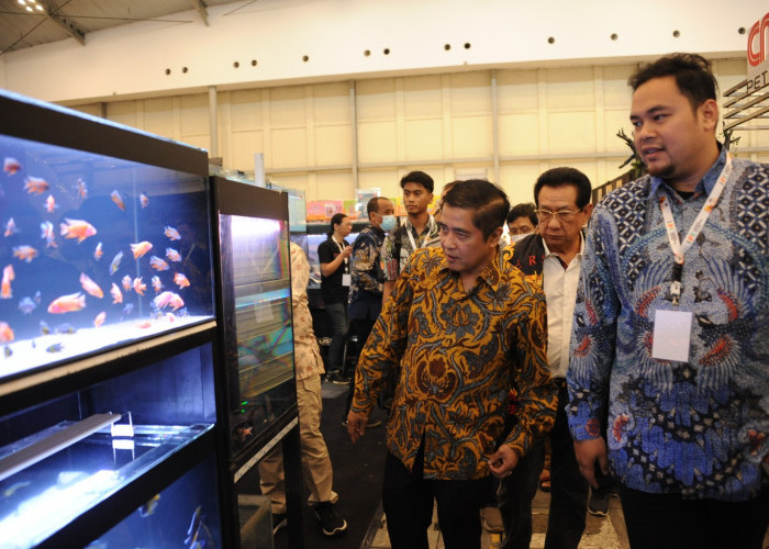 Melalui Ekonomi Biru, KKP Dorong Indonesia Jadi Eksportir Ikan Hias Terbesar Dunia