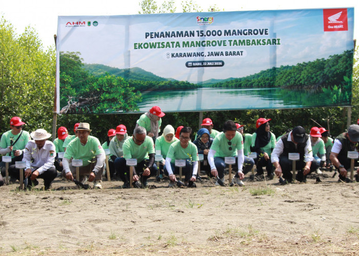 AHM 'Sulap' Kawasan Ekowisata Mangrove Tambaksari Jadi Wisata Baru Pesisir Karawang