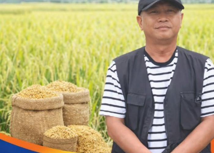 Bulog Sudah Serap Belasan Ribu Gabah Petani Karawang Terdampak Banjir