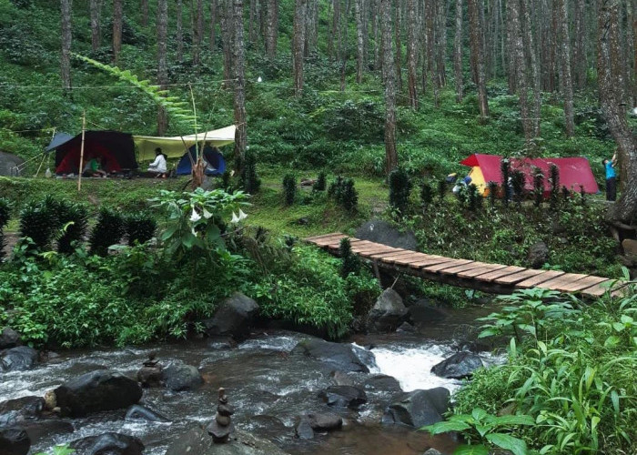 Rekomendasi Liburan Lebaran Keluarga: Wisata Alam Sejuk di Tengah Hutan Pinus di Sumedang