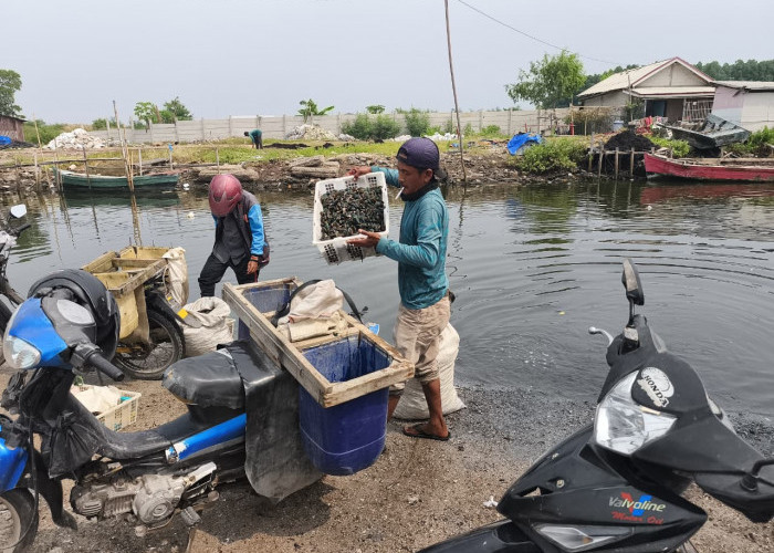 Laut di Kabupaten Bekasi Diduga Tercemar Limbah PLTU Milik Cikarang Listerindo, Nelayan Desak Pemda Cabut Izin