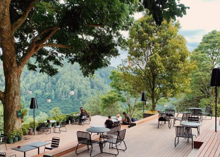 Rekomendasi Cafe Outdoor di Bandung dengan Suasana Alam yang Sejuk