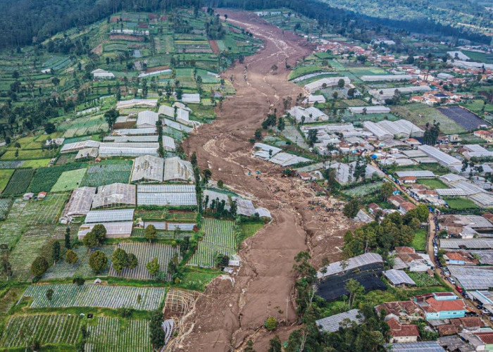 Pemerintah Rencanakan Perubahan Pola Tanam di Zona Longsor