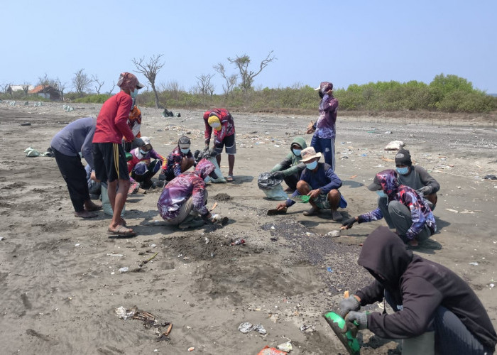 Beres Pesisir Sedari, Gerak Cepat DLH Karawang Kumpulkan 2,49 Ton Limbah di Pesisir Cemarajaya