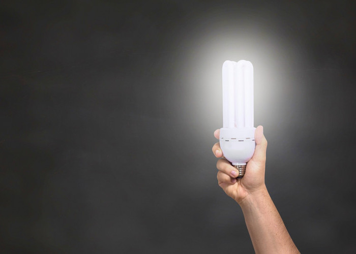 12 Panduan Memilih Lampu LED Rumah yang Hemat Listrik dan Awet Bertahun-tahun, Jangan Sampai Salah Beli!