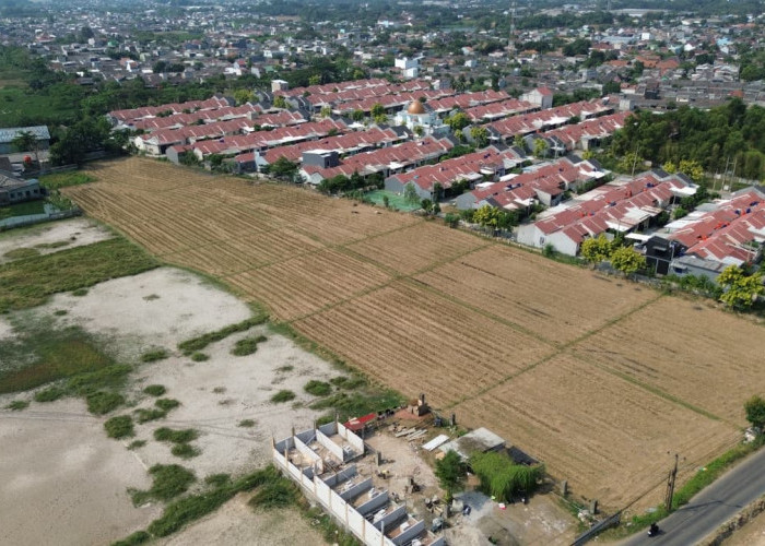 Ribuan Hektare Sawah di Bekasi Masuk Zona Rawan, Plt Bupati Asep Adopsi Sumur Pompa Tenaga Surya dari Surabaya