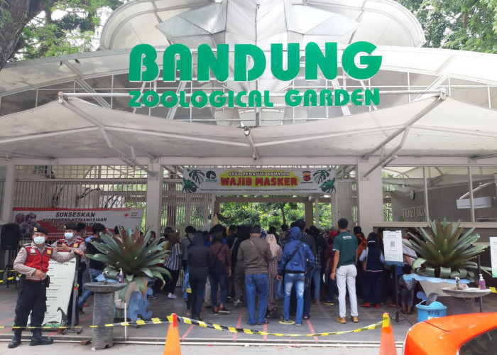 Penipuan Berkedok Rekrutmen Kerja di Kebun Binatang Bandung , Puluhan Warga Jadi Korban