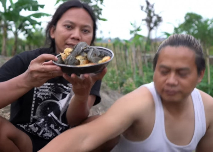 Dianggap Hama di Indonesia Ikan Sapu-sapu Justru Dimakan di Negara Lain