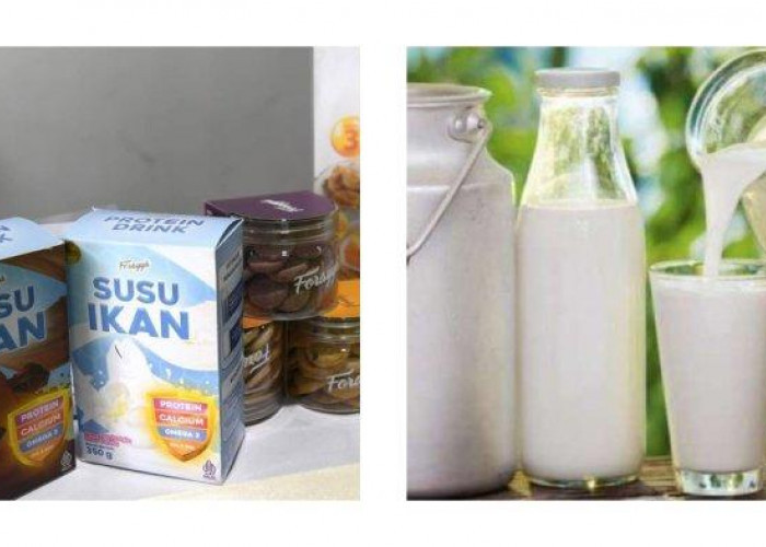 Ternyata Ini 4 Perbedaan Keunggulan Susu Sapi dengan Susu Ikan yang Perlu Kamu Tahu