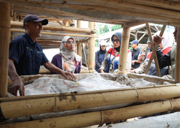Pertamina dan DLH Jabar Perkuat Pengolahan Limbah Peternakan Menjadi Pupuk Organik Berbasis Vermikompos