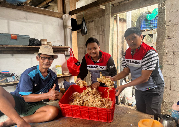 Pertamina Patra Niaga RJBB Wujudkan Kelestarian Mangrove dan Pemberdayaan Ekonomi Pesisir