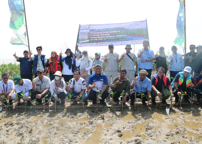 Astra Otoparts Grup Bersama Cipta Pesona Desa Tanam 10Ribu Mangrove-Bangun Dermaga di Pesisir Pantai Muarabaru