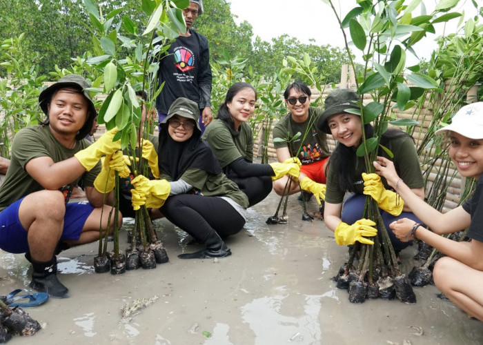 Konsen Isu Lingkungan, Sharp Indonesia Gencar Tanam Mangrove  untuk Rehabilitasi Ekosistem Karbon Biru