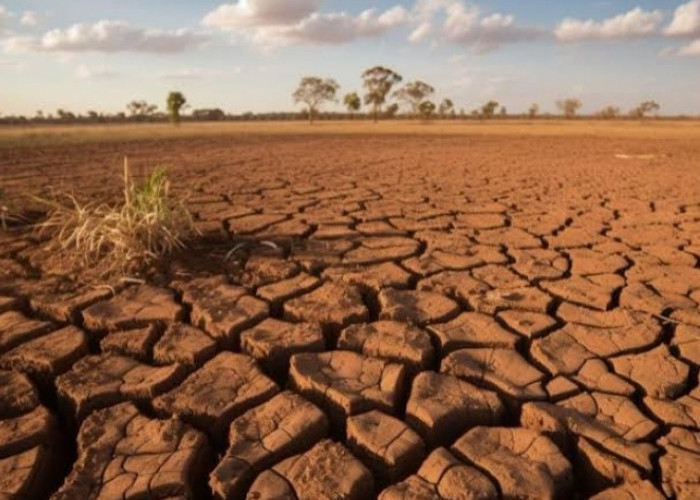 Akibat Dampak El Nino, Warga Seputihmataram Mulai Kekurangan Air Bersih 