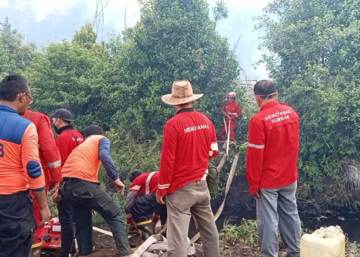 Sudah 120 Hektar Telah Terbakar di Pesisir Selatan, Ternyata Ini Titik Api Pertamanya