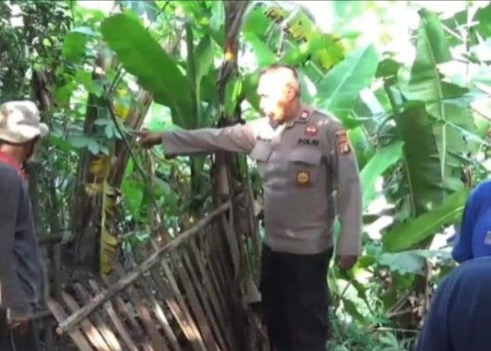 Warga Bekasi Kaget, 5 Kambing Mati Secara Tidak Wajar