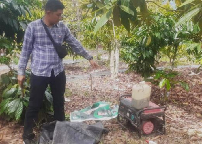 Lima Orang Pemasang Jeratan Babi yang Tewaskan Warga di Lumbok Seminung Diamankan Polisi