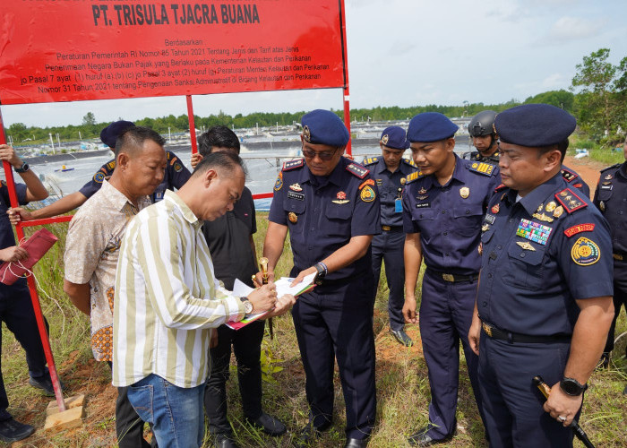 Tak Sesuai Ketentuan, Operasional Tambak Udang di Batam Dihentikan