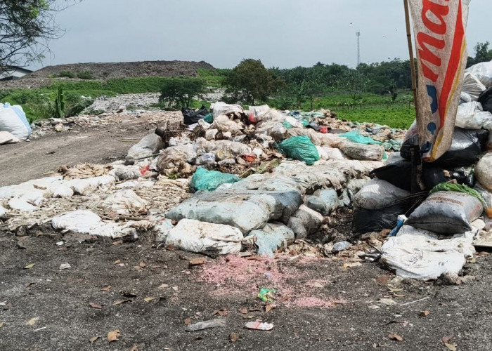 Pengakuan Pemilik TPS Liar di Setu Tempat Pembuangan Guntingan Uang Kertas Asli Dibuang