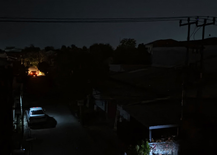 Pohon Tumbang Timpa Jaringan Listrik, Pemadaman Di Karangpawitan Karawang Terjadi Tanpa Rencana