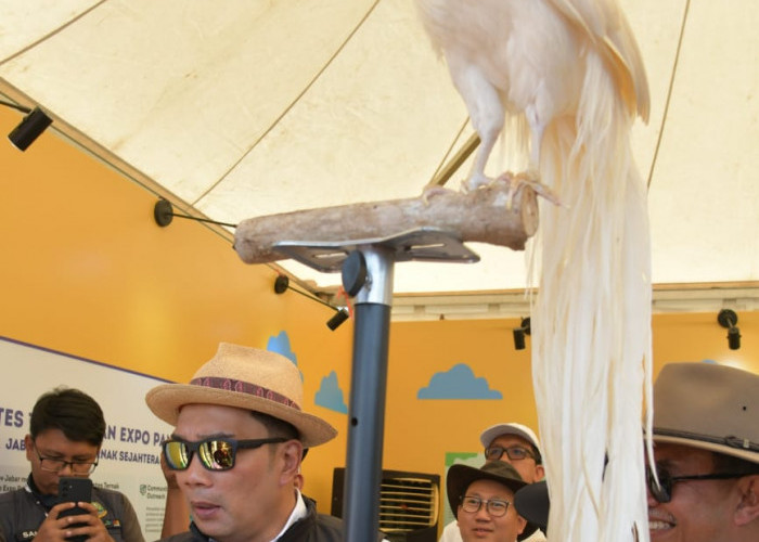 Melihat Kontes Ternak dan Expo Pangan Murah di Kiarapayung