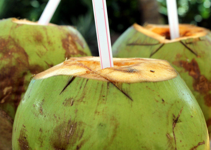 10 Manfaat Air Kelapa untuk Ibu Hamil, Tapi Tidak Semua Orang Dianjurkan Mengonsumsinya