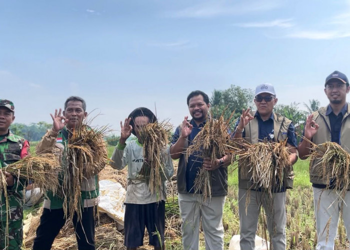 Jaga Cadangan Pangan, Bulog Karawang Serap 92 Ribu Ton Setara Beras hingga Oktober