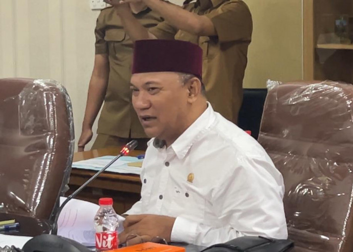 DPRD Karawang Dorong Pemerintah Daerah Lakukan Penutupan Sementara Aktivitas Tambang PT MPB