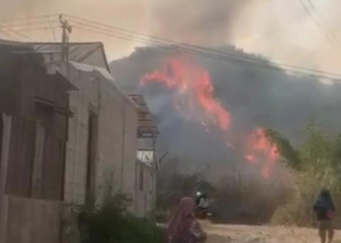 Gunung Anjing Terbakar, Petugas Kesulitan Jangkau Titik Api