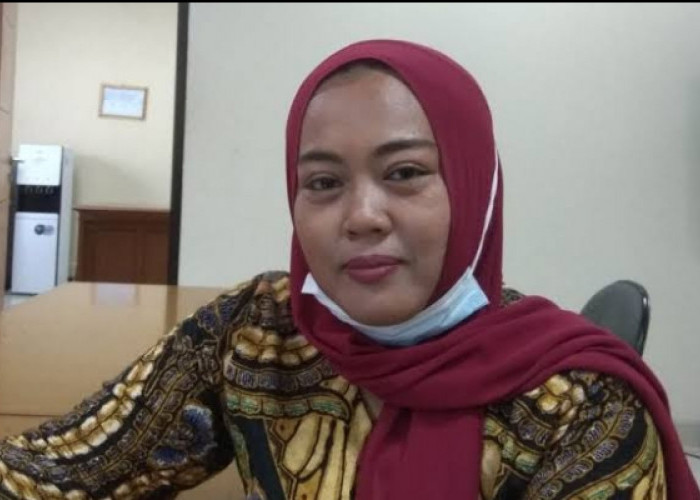 Dewan PKB Neneng Siti Fatimah Pindah ke NasDem, Siap-siap Di-PAW