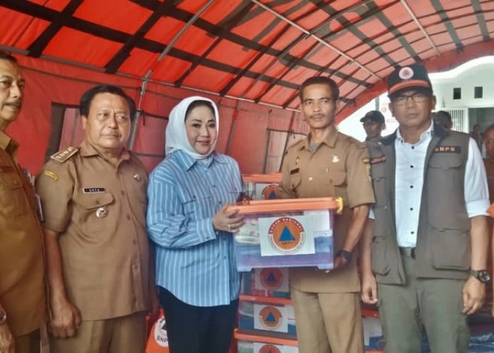 Komisi VIII DPR RI Wardatul Asriah Tinjau Langsung Lokasi Banjir Desa Karangligar Karawang