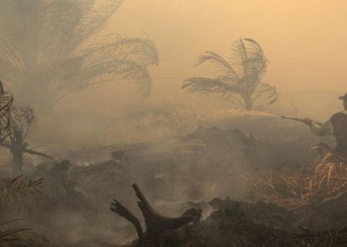 Kabut Asap Karhutla Kalimantan Capai Manila, Kualitas Udara Tembus Level Sangat Berbahaya