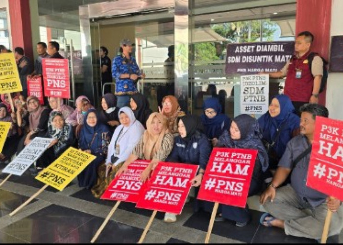 PPPK 36 PTN Baru Gelar Aksi Berkemah di Depan Kantor Kemendikbudristek, Tuntut Pengangkatan PNS