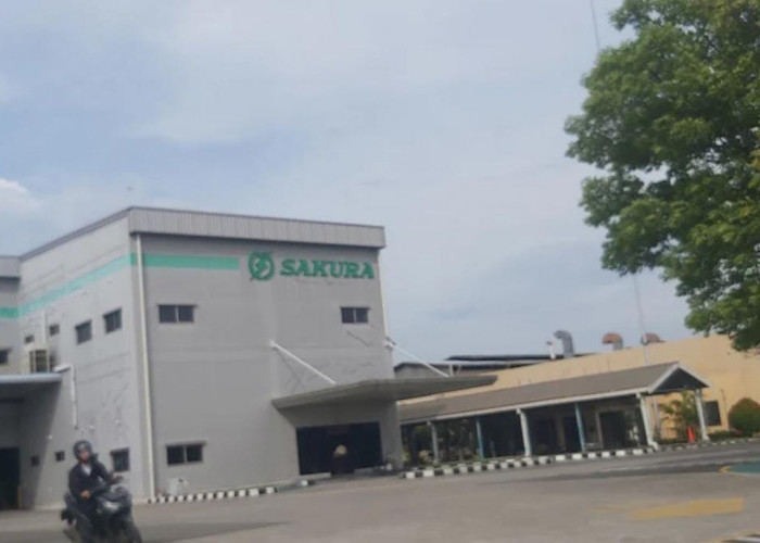 Rekrutmen PT Sakura Java Indonesia Dibuka Maret 2026, Butuh Operator Produksi dan PPIC