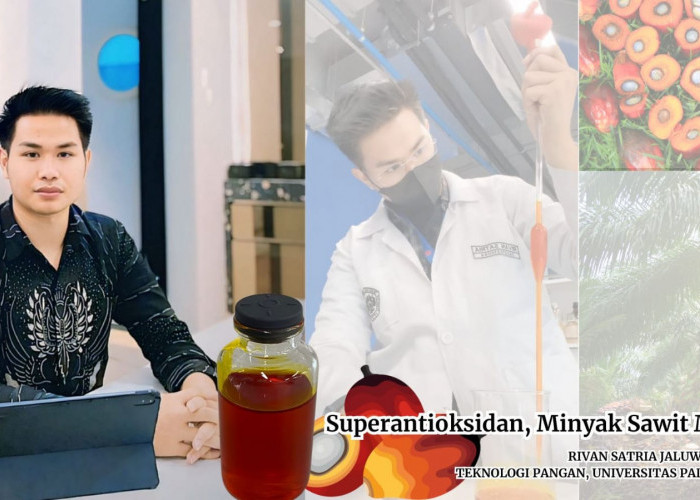 'Minyak Sawit Merah', Antioksidan Super Sebagai Solusi Asupan Pangan Tinggi Vitamin A & E Bagi Kesehatan Tubuh