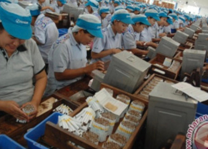 Kenaikan Cukai Rokok Disebut Sebabkan PHK Puluhan Ribu Buruh
